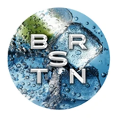 Logo BRSTN